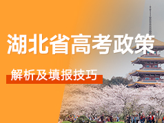 湖北新高考政策解析
